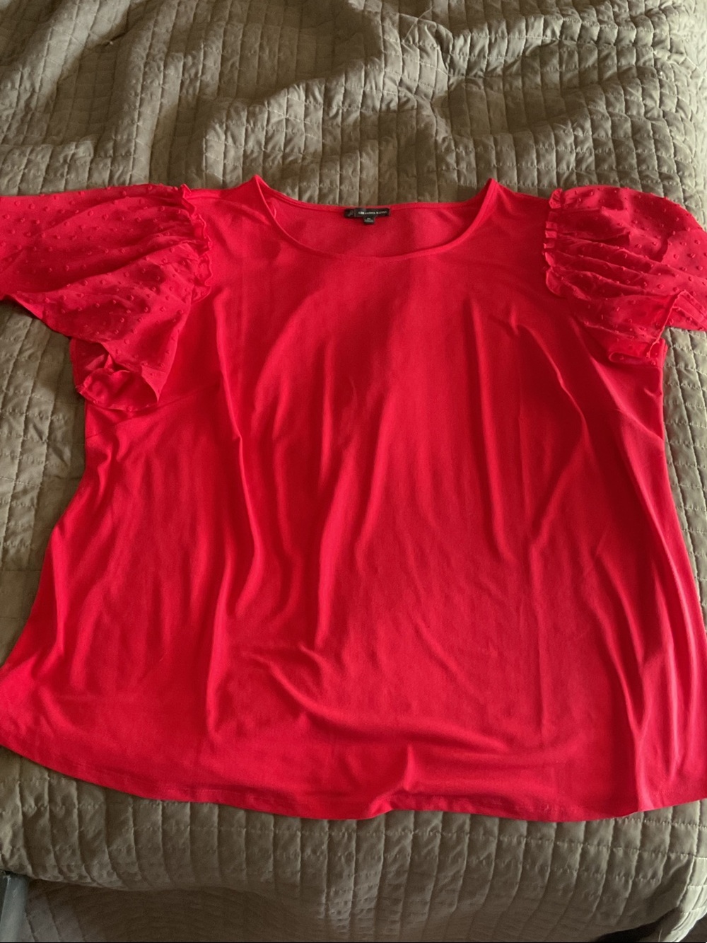 Women's Bright Red sheer Sleeve Top
